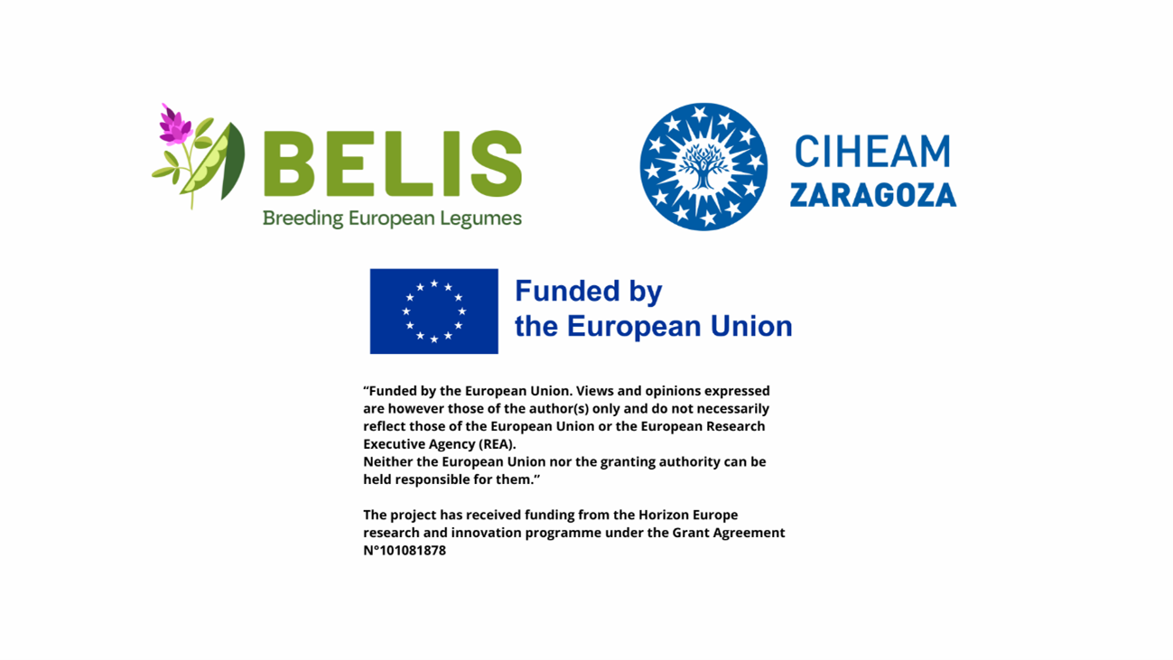 Funded by the European Union